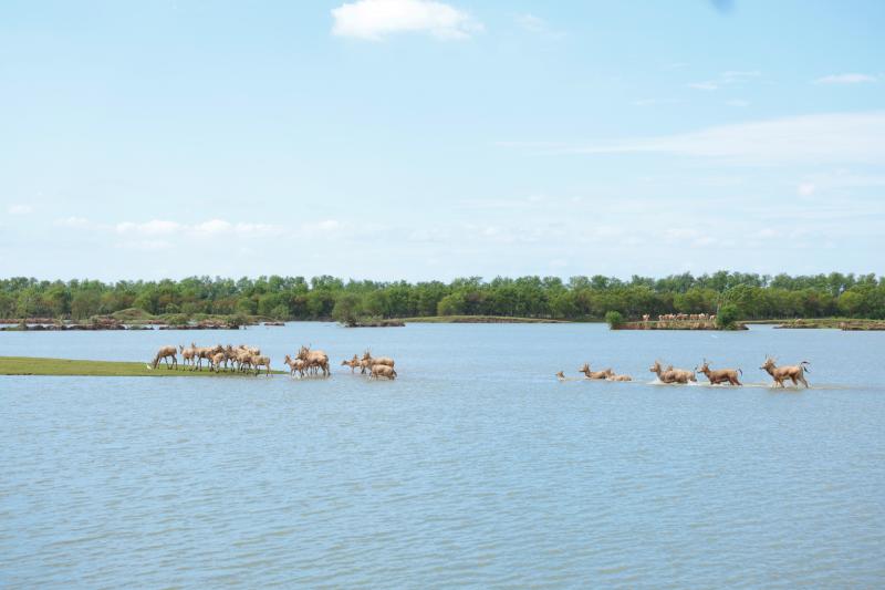 《新华日报》整版聚焦亚洲色吧
：金融“活水”添绿意， “碳”路前行赢未来